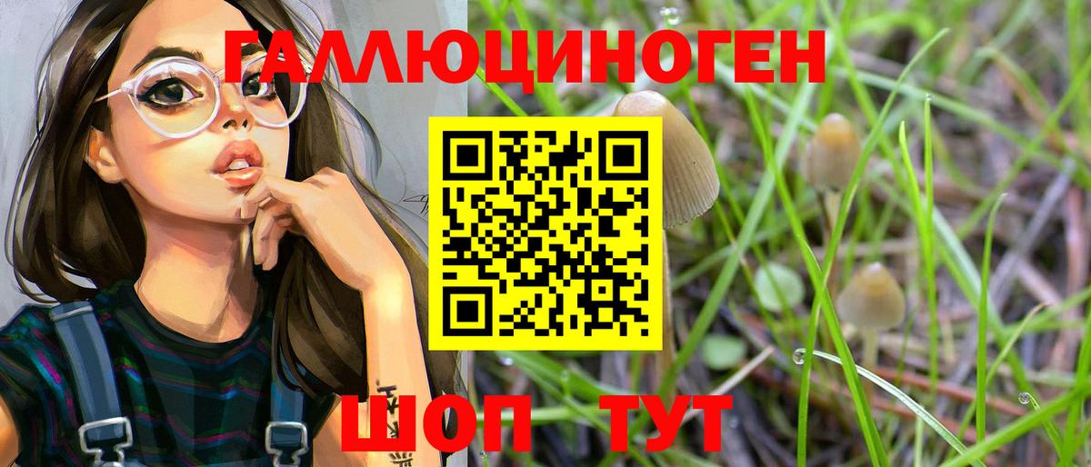 Псилоцибиновые грибы MAGIC MUSHROOMS Вязники