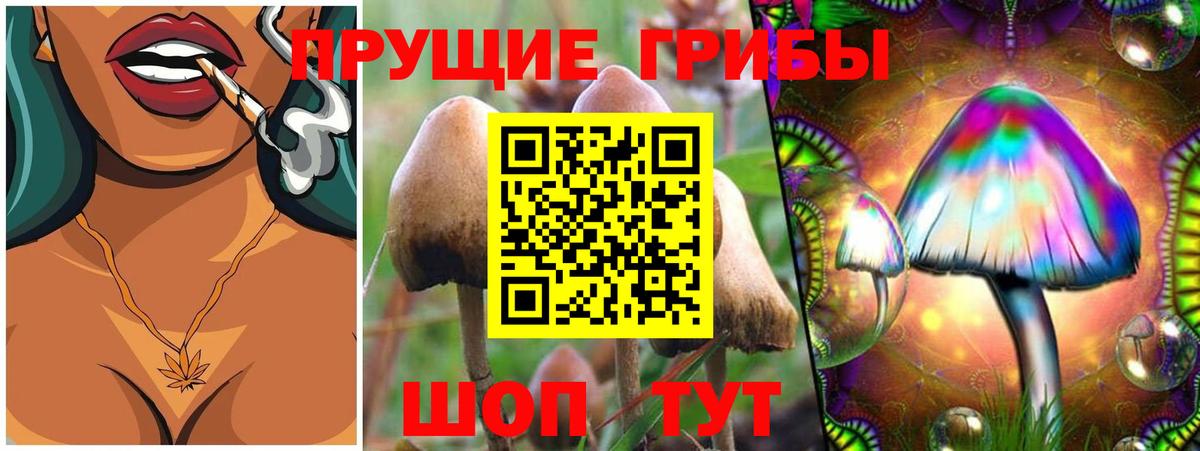 Вязники  Галлюциногенные грибы GOLDEN TEACHER  Вход с VPN 